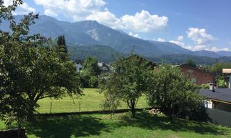 A green meadow with some trees and a view of the mountains. The sky is blue with a few clouds.