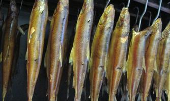 Fischräuchern im Familienhotel Post Beispielbild