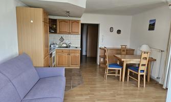 A bright living room with a kitchenette and a dining area. The room has wooden flooring and is simply but cozily furnished.