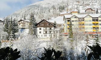 A view out of the window at a snowy landscape. In the foreground, there are plants, and in the background, there are snow-covered mountains and colorful buildings.