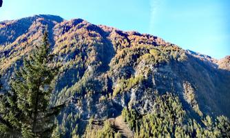 A picturesque mountain with colorful foliage in autumn. The clear sky gives the landscape a fresh aura.