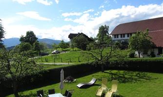 A green meadow with a table and chairs as well as lounge chairs. In the background, houses and trees can be seen under a clear sky.