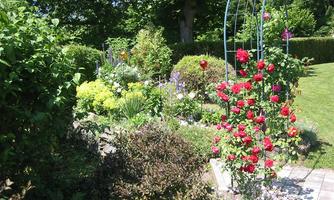 A beautiful garden with colorful flowers and a rose arch. The place feels inviting and well-kept.