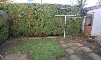 A small garden with a well-maintained lawn and a hedge. In the background, a clothes drying rack and a wall can be seen.