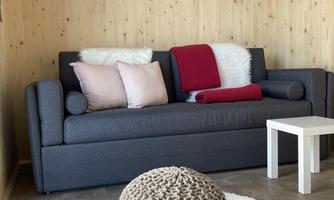 A modern living room with a gray sofa and several decorative cushions. A round pouf is placed on a rug, and the walls are decorated with plant images.