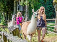 Lama Wanderung Lama Wanderung