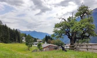 A green meadow with an old tree and a farmhouse in the background. The mountains are visible in the distance under a cloudy sky.