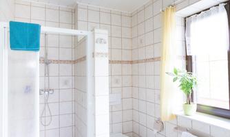 A bright bathroom with white tiles and a shower cabin. A towel and a plant add color to the space.