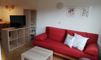 A cozy living room with a red sofa, a television, and a small coffee table. Two pictures are hanging on the wall, and there are shelves with books and decorations.