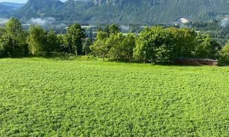 A green field with lush grass and trees in the foreground. In the background, majestic mountains and a blue sky with some clouds are visible.