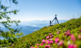 A blooming mountain landscape with a cross on a summit. In the distance, mountains and a clear blue sky can be seen.
