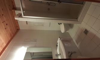 A modern bathroom with a shower, sink, and toilet. The walls are light and the ceiling is made of wood.