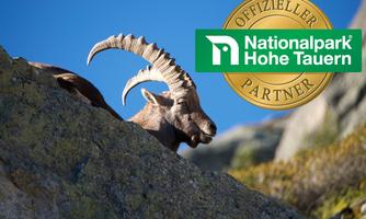 A ibex sits on a rock in front of a blue sky. The image also shows the emblem of the Hohe Tauern National Park.