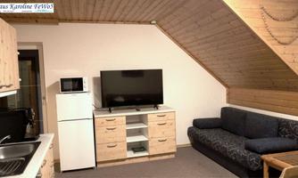A cozy living room with a modern couch and a television. The walls are made of wood, and there is a small kitchenette.