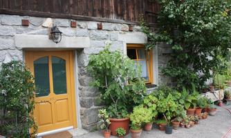 A charming stone house with a yellow door. The entrance area is surrounded by numerous flower pots and plants.