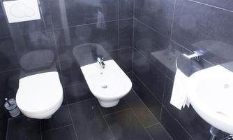A modern bathroom with black tiles. Visible are a toilet, a bidet, and a sink.