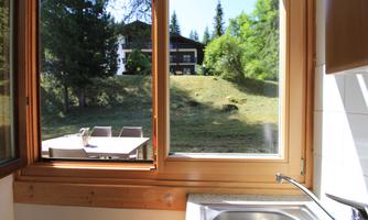 A view from the window onto a green meadow and trees. In the foreground, there is a modern kitchen with a sink.