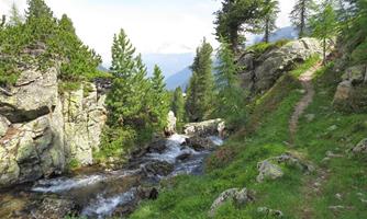 A picturesque hiking trail winds along a flowing stream between green meadows and rocks. Surrounded by tall trees, the landscape extends to the mountains.