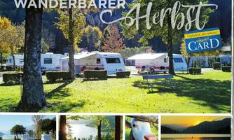 A beautiful campsite in autumn with motorhomes and colorful trees. The pictures show nature, animals, and relaxing landscape views.