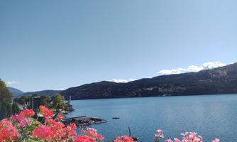 A clear lake surrounded by mountains and colorful flowers. The sky is blue with some white clouds.