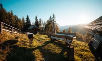 A picturesque alpine hut surrounded by trees and a green meadow. The sun is shining and the sky is clear.