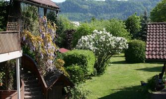 A green garden landscape with colorful flowers and shrubs. In the background, gentle hills and a clear sky can be seen.