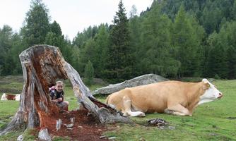 A boy is sitting on a tree stump in a meadow. Next to him lies a large cow, and there are trees visible in the background.