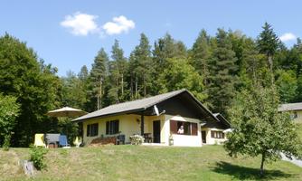 A charming holiday home surrounded by trees and meadow. The sky is clear and blue, ideal for a relaxing stay in nature.