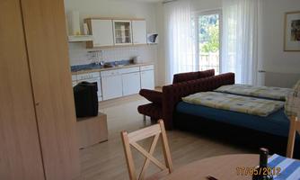 A bright and cheerful room with a double bed and a sofa. The kitchen is open and well-equipped, and large windows provide plenty of daylight.