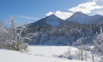 A snowy winter landscape with mountains in the background. The sky is clear and sunny, and there are snow-covered trees in the vicinity.