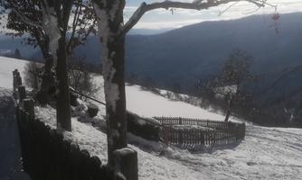A snow-covered landscape with tall trees and a beautiful view of the valley. The sun is shining bright and creating a pleasant atmosphere.