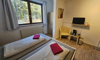 A simple guest room with two single beds, a television, and an armchair. The room has large windows overlooking the forest.