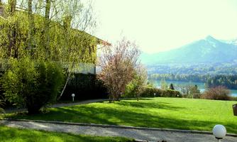 A green garden with colorful flowers and a serene lake in the background. In the background, mountains and a blue sky can be seen.