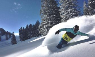 A snowboarder glides through fresh, white snow in a beautiful winter landscape. Tall fir trees surround the scene under a clear blue sky.