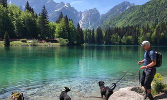 A man stands with two dogs at the shore of a clear lake. In the background, green trees and imposing mountains can be seen.