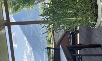 A cozy balcony with a view of mountains and a clear sky. In the foreground, there is a green pot with a plant.
