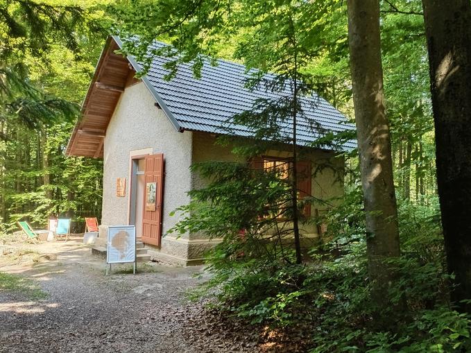 Auf Mahlers Spuren: am Wasser - im Wald