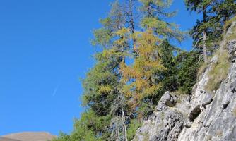 A sunny sky with few clouds and a rocky cliff. Tall trees stand by the rocks, some of which are green and others yellowish.