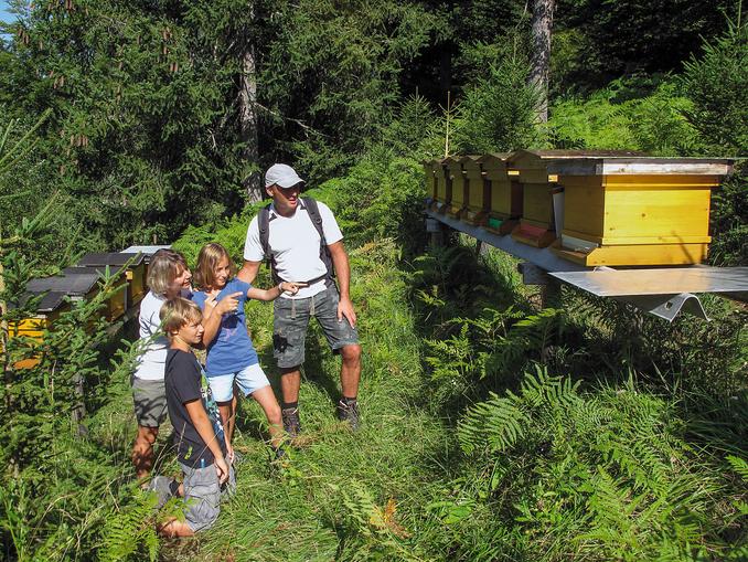 Bienenlehrpfad