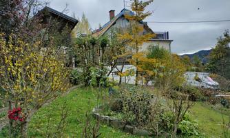 A garden with colorful trees and shrubs. In the background, a house and the cloudy sky are visible.