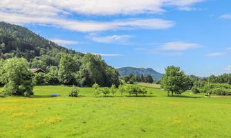 A green meadow with trees and hills in the background. The sky is blue with some clouds.