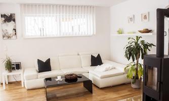 A bright and modern living room with a white sofa and black cushions. The room is decorated with plants and minimalist decorative elements.