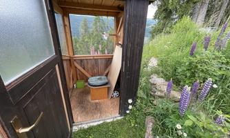 A cozy wooden room with a view of nature. Beautiful plants grow around the entrance.