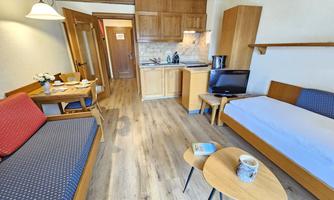 A cozy living kitchen with wood decor and warm colors. There is a sofa, a table, and a small kitchenette.