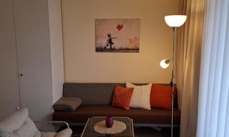 Seating area with pull-out couch