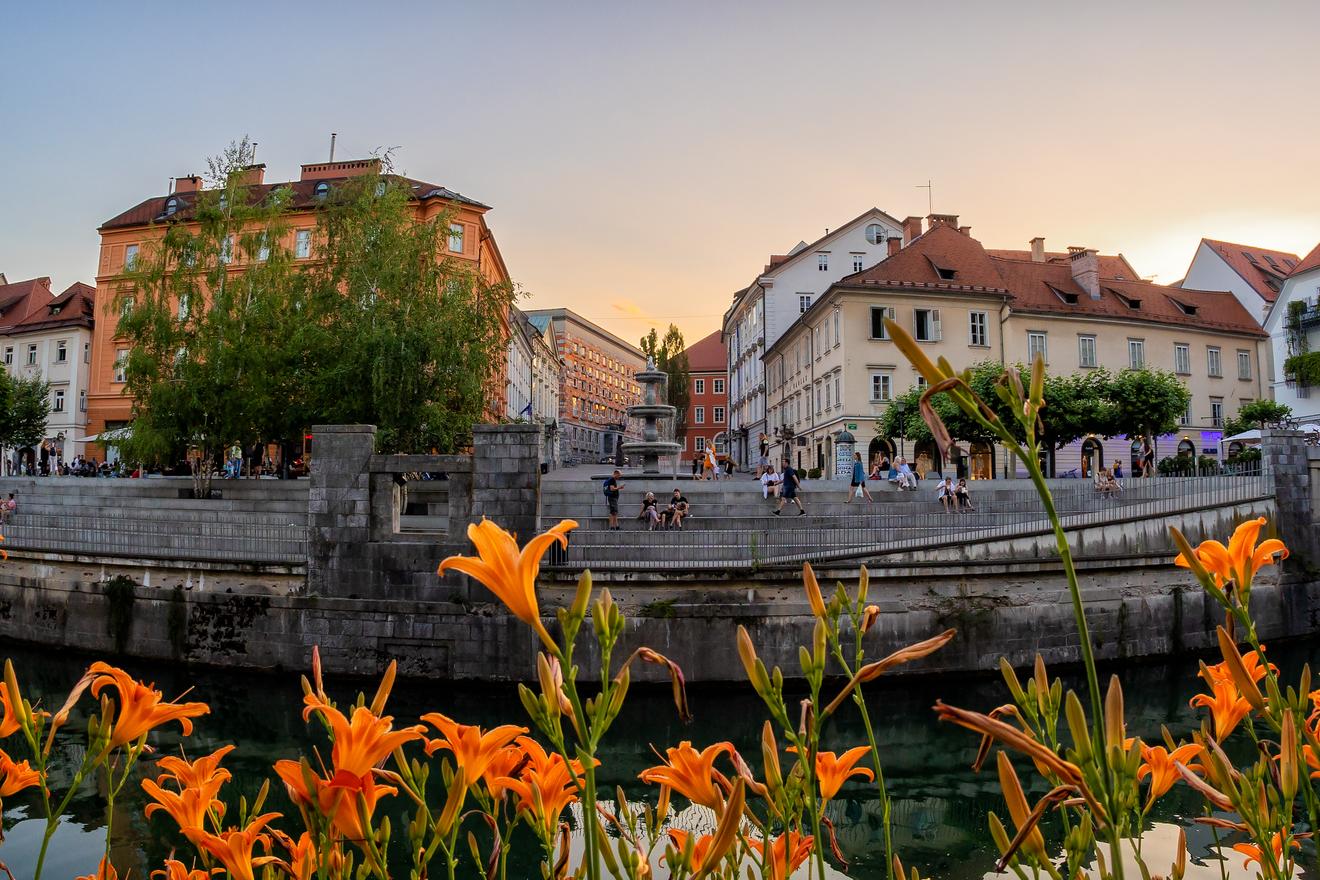 Ljubljana: Menschen sitzen am Abend auf der Treppe am Fluss, orangefarbene Lilien im Vordergrund.
