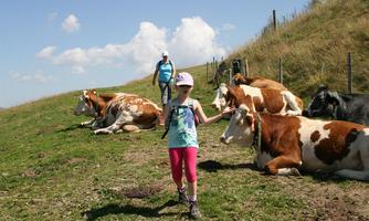 A girl is leading a cow across a meadow, while a woman walks in the background. The cows are resting in the green landscape under a blue sky.