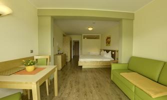 A bright room with a double bed and a green sofa. There is a table with a plant and a wooden floor.