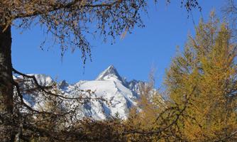 An impressive mountain landscape with the snow-capped Grossglockner and a radiant blue sky. In the foreground, some trees can be seen.