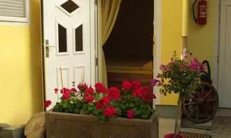A yellow house wall with a white door and a window. In front of the door, red flowers bloom in a large box.